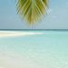Profile Picture of Eva Beebe (@enbeebe13) on Pinterest