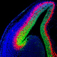 Profile Picture of Matthew Goodier (@matthew-goodier) on Quora