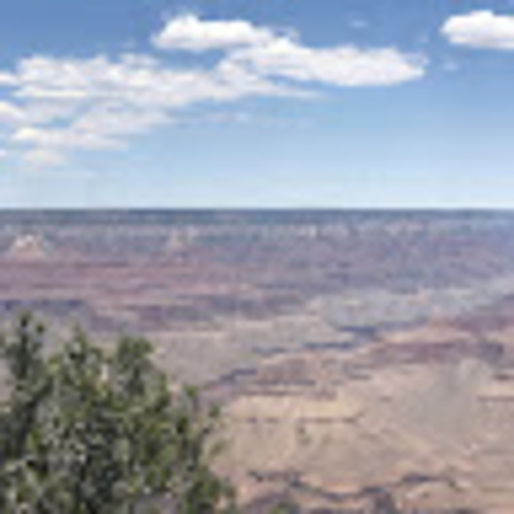 Profile Picture of Luis Barragan (@barragan9164) on Poshmark