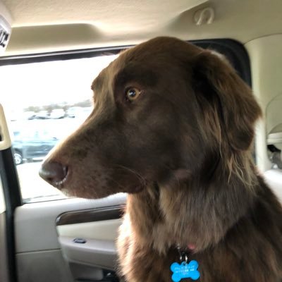 Profile Picture of Vicki O'Leary (@vicki_oleary) on Twitter