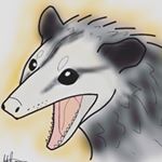 Profile Picture of Larry Mart (@larrymart4possums) on Instagram