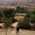 Profile Picture of Tomas Åke Jansson (@pandavis) on Instagram