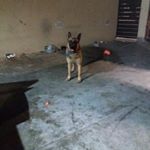 Profile Picture of יוהנתן (@jonathan_elbaz9) on Instagram