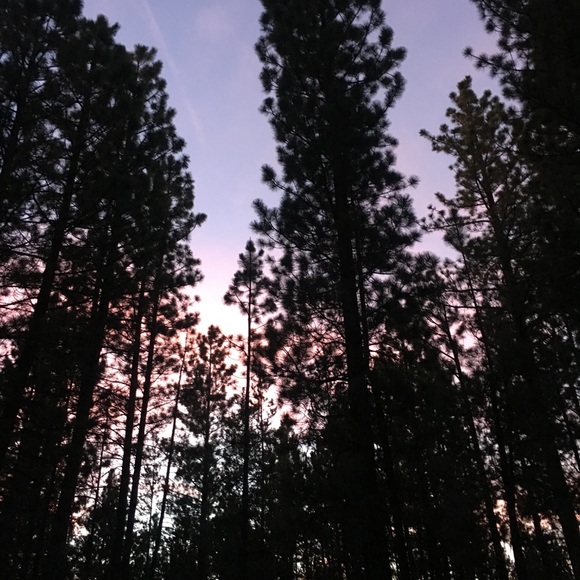 Profile Picture of Adam Horlings (@adam_horlings) on Poshmark