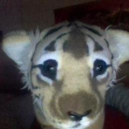 Profile Picture of Kévin Banas (@kevinbanas4) on Twitter