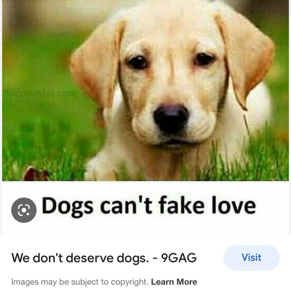 Profile Picture of Julia Rohrscheib (@jmw1425) on Poshmark