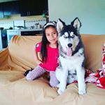 Profile Picture of Omar Fiallos Lema (@fiallosedu) on Instagram