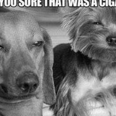 Profile Picture of Ralph Cline (@ralph.cline.35) on Facebook