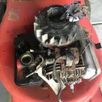 Profile Picture of Shaun Haughton (@shauno12344321) on Instagram