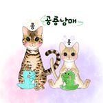Profile Picture of 공룡남매❤️ (@kong._.long) on Instagram