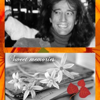 Profile Picture of Pamela C. Gibb (@pamela_gibb) on Twitter
