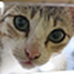 Profile Picture of Jason Mendoza (@jmp09) on Flickr