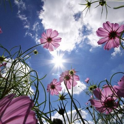 Profile Picture of Kelly Kadlec (@crazycraftymom) on Twitter