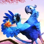 Nicholas Stillwell - Instagram Profile Picture of Nicholas Stillwell (@stillwell_stumpy_xtag) on Instagram