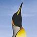 Profile Picture of Allison Goade (@allisongoade) on Pinterest