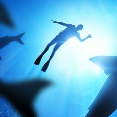 Profile Picture of Simon (@sich8) on Twitter