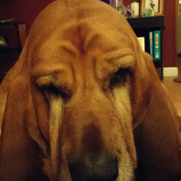 Profile Picture of Pam Rossback (@pamr0625) on Poshmark