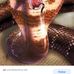 Profile Picture of Humberto Valentin (@Humberto-Valentin) on Facebook