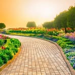 Profile Picture of Ton Boss Simple David (@Ton-Boss-Simple-David) on Facebook