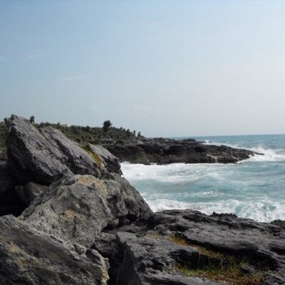 Profile Picture of Lee Anne Petroff (@LeePetroff) on Twitter