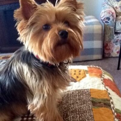 Profile Picture of James A Hulse (@Peetecorky47) on Twitter