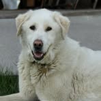 Profile Picture of Andrew Burrose (@andrew.burrose) on Facebook