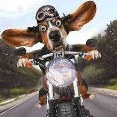 Profile Picture of Dave Van Wyk (@davevw127) on Twitter