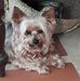 Profile Picture of Shirleen Hulett (@shirleen.hulett) on Facebook
