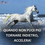 Profile Picture of Emanuele Mattia (@emanuele.mattia) on Instagram