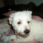 Profile Picture of Robert Colon (@robertcolon55) on Instagram