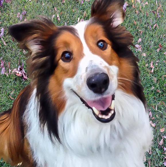 Profile Picture of Jim Rogers (@jimrogers449) on Poshmark