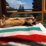 Profile Picture of Maureen Mackey (@maureen.mackey) on Instagram