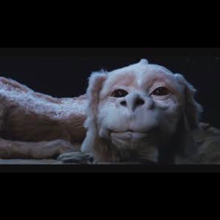 Profile Picture of Joseph Howard (@josephhoward70) on Tiktok