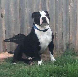 Profile Picture of Ty Halbrooks (Ty guy) (@ty.halbrooks) on Facebook