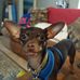 Profile Picture of Dustin Riddell (@dustin.riddell.10) on Facebook