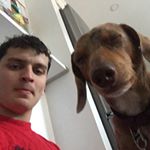 Profile Picture of Thomas Howarth (@possiblythomas) on Instagram