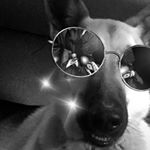 Profile Picture of David Leach (@david_leach123) on Instagram