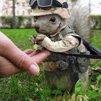 Profile Picture of James Rojas (@jamesrojas60) on Twitter