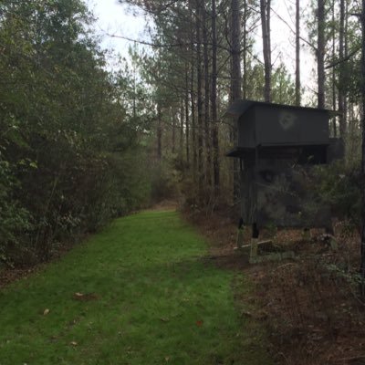 Dwayne Wood - Twitter Profile Picture of Dwayne Wood (@dwaynewd3) on Twitter