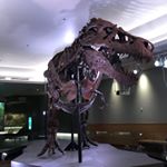Profile Picture of Michael Harn (@the_paleo_geeker) on Instagram