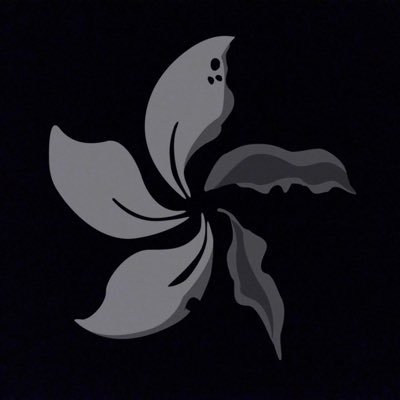 Profile Picture of Ada Wing Kam Hung Lo (@adahunglo) on Twitter