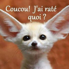 Profile Picture of Daniel Bouchard (@danielbouchard3) on Pinterest