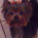 Profile Picture of Tracie Ewing (@tewing143) on Pinterest