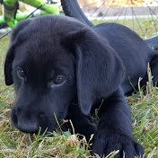 Profile Picture of Kevin Hovis (@hovisjrt5065) on Youtube