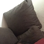 Profile Picture of Bruno Rodriguez (@brukernet) on Flickr