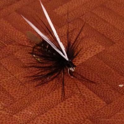 Profile Picture of Jesse Tierney (@JesseTierney123) on Twitter