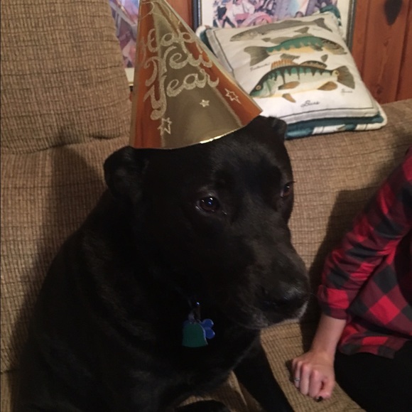 Profile Picture of Virginia Cupstid (@vmcupstid) on Poshmark