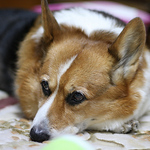 Profile Picture of Kuyupapa (@kuyupapa) on Flickr