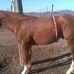 Profile Picture of Corral Chacon (@corral.chacon.9) on Facebook
