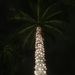 Profile Picture of Danielle Calder (@danicalder29) on Pinterest